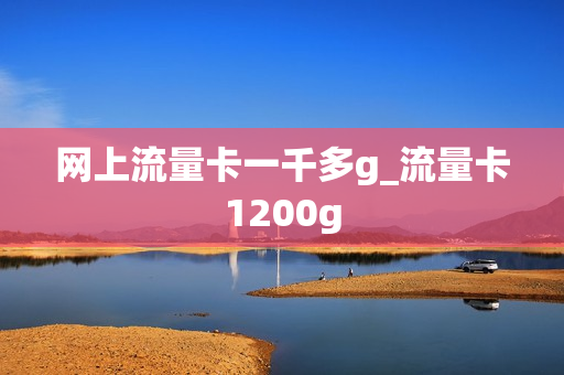 网上流量卡一千多g_流量卡1200g