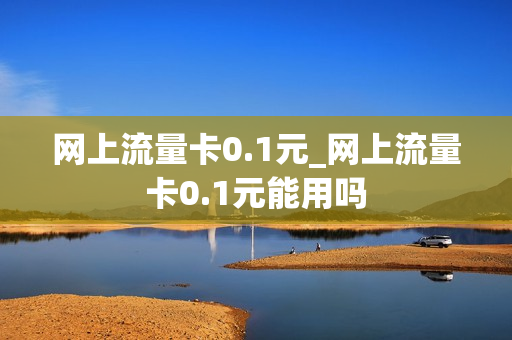 网上流量卡0.1元_网上流量卡0.1元能用吗