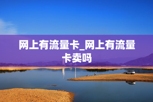 网上有流量卡_网上有流量卡卖吗