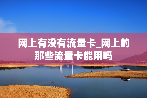 网上有没有流量卡_网上的那些流量卡能用吗
