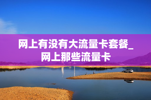 网上有没有大流量卡套餐_网上那些流量卡