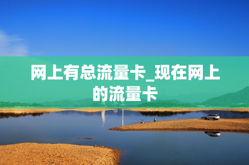 网上有总流量卡_现在网上的流量卡