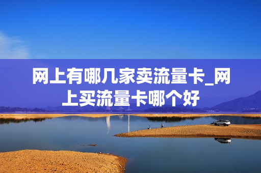 网上有哪几家卖流量卡_网上买流量卡哪个好