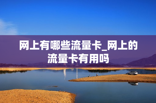 网上有哪些流量卡_网上的流量卡有用吗