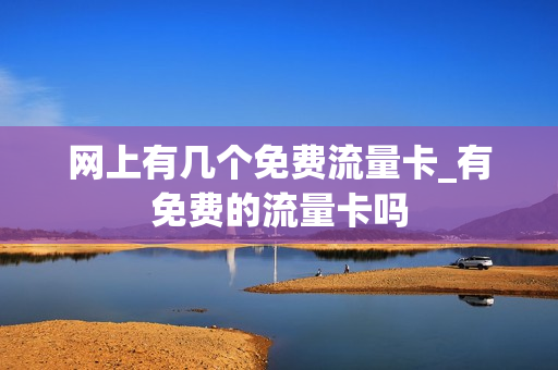 网上有几个免费流量卡_有免费的流量卡吗