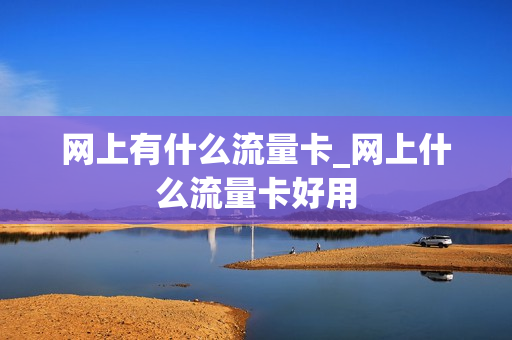网上有什么流量卡_网上什么流量卡好用