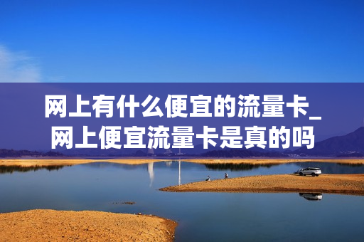 网上有什么便宜的流量卡_网上便宜流量卡是真的吗