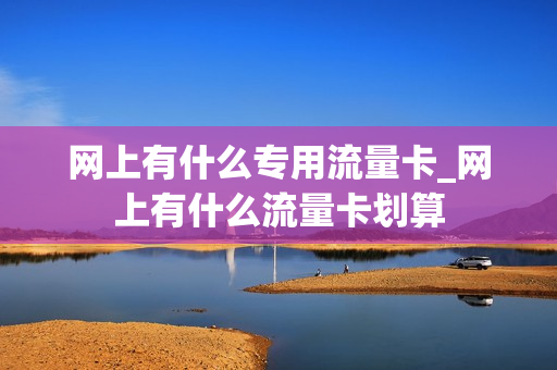 网上有什么专用流量卡_网上有什么流量卡划算