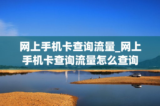 网上手机卡查询流量_网上手机卡查询流量怎么查询