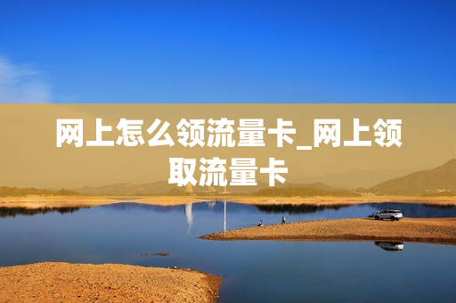 网上怎么领流量卡_网上领取流量卡