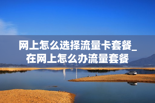 网上怎么选择流量卡套餐_在网上怎么办流量套餐