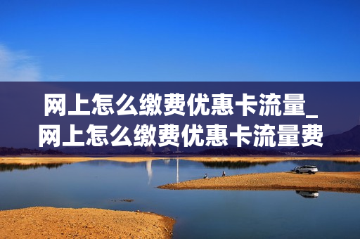 网上怎么缴费优惠卡流量_网上怎么缴费优惠卡流量费