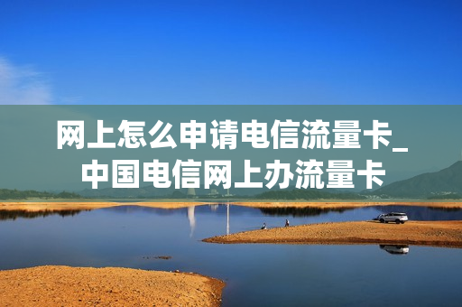 网上怎么申请电信流量卡_中国电信网上办流量卡