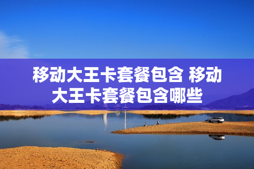 移动大王卡套餐包含 移动大王卡套餐包含哪些