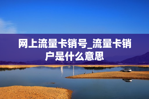 网上流量卡销号_流量卡销户是什么意思
