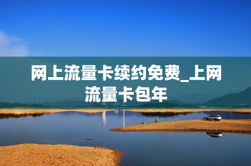 网上流量卡续约免费_上网流量卡包年