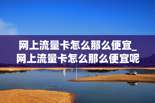网上流量卡怎么那么便宜_网上流量卡怎么那么便宜呢