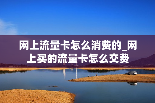 网上流量卡怎么消费的_网上买的流量卡怎么交费