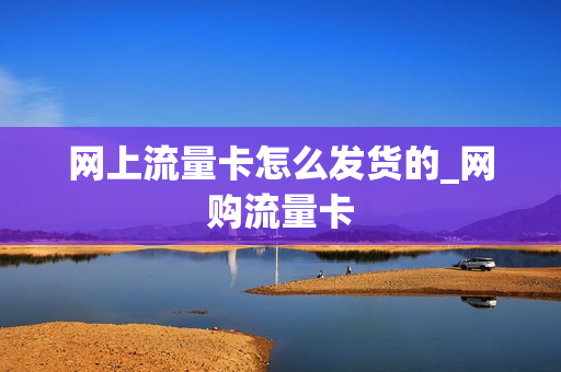 网上流量卡怎么发货的_网购流量卡