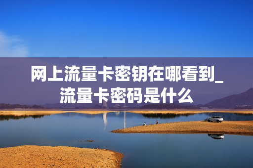 网上流量卡密钥在哪看到_流量卡密码是什么