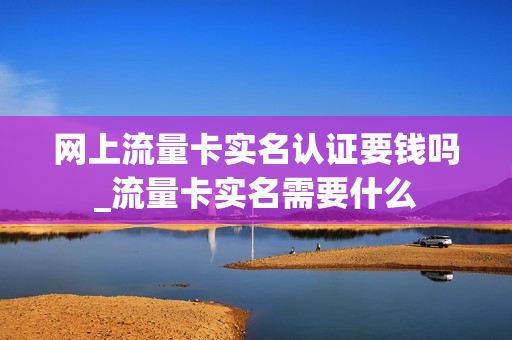 网上流量卡实名认证要钱吗_流量卡实名需要什么