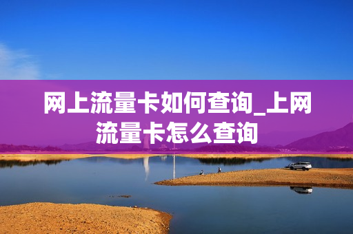 网上流量卡如何查询_上网流量卡怎么查询