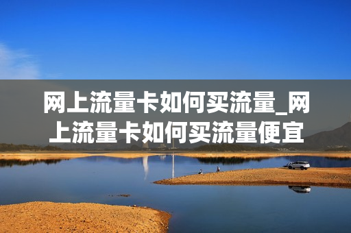网上流量卡如何买流量_网上流量卡如何买流量便宜