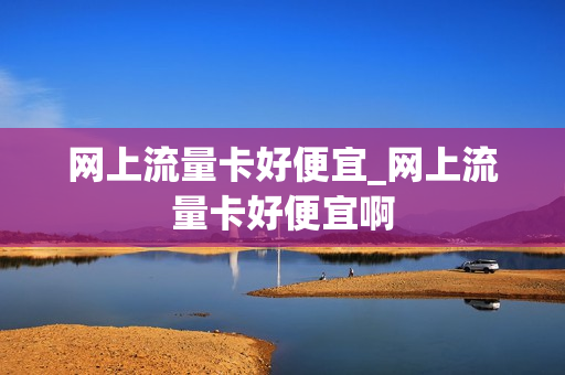 网上流量卡好便宜_网上流量卡好便宜啊