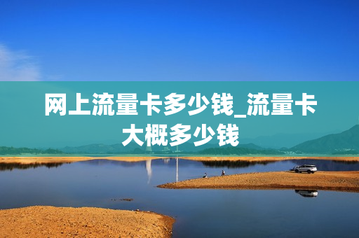 网上流量卡多少钱_流量卡大概多少钱