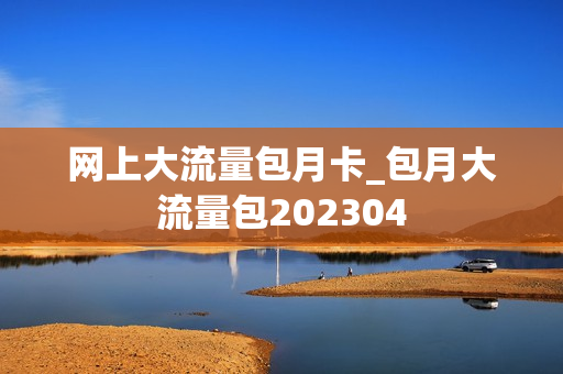 网上大流量包月卡_包月大流量包202304