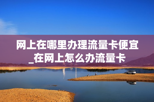 网上在哪里办理流量卡便宜_在网上怎么办流量卡