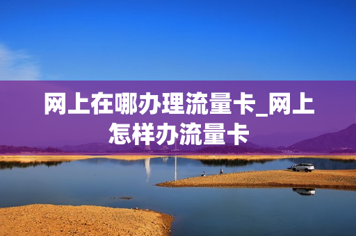 网上在哪办理流量卡_网上怎样办流量卡