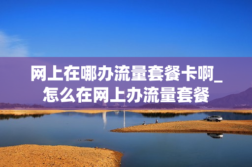 网上在哪办流量套餐卡啊_怎么在网上办流量套餐