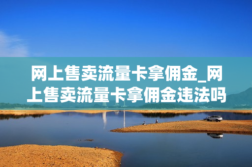 网上售卖流量卡拿佣金_网上售卖流量卡拿佣金违法吗