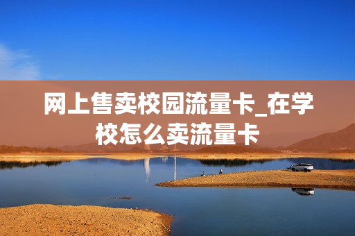 网上售卖校园流量卡_在学校怎么卖流量卡