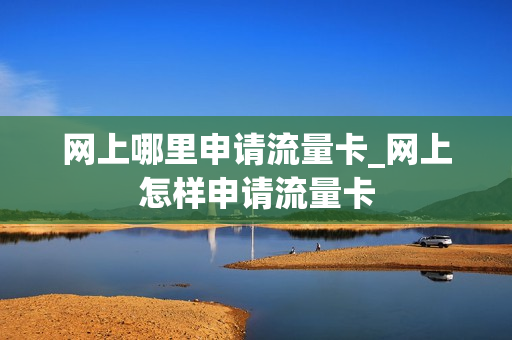 网上哪里申请流量卡_网上怎样申请流量卡