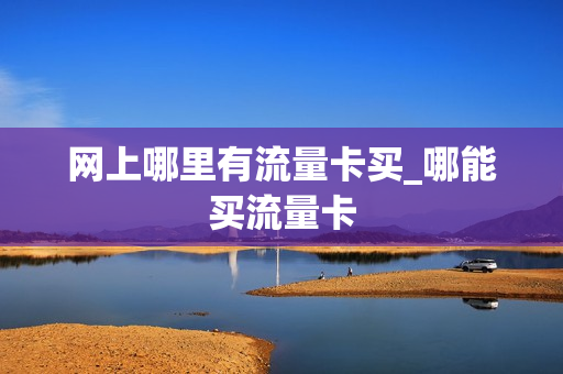 网上哪里有流量卡买_哪能买流量卡