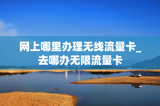 网上哪里办理无线流量卡_去哪办无限流量卡