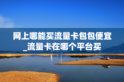 网上哪能买流量卡包包便宜_流量卡在哪个平台买