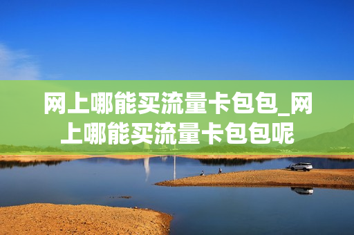 网上哪能买流量卡包包_网上哪能买流量卡包包呢