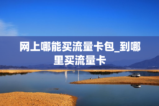 网上哪能买流量卡包_到哪里买流量卡