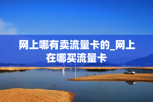 网上哪有卖流量卡的_网上在哪买流量卡