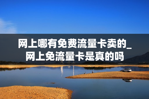网上哪有免费流量卡卖的_网上免流量卡是真的吗