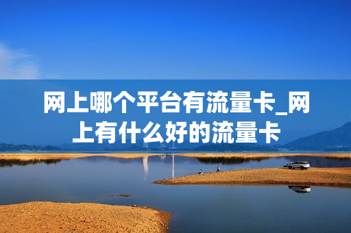 网上哪个平台有流量卡_网上有什么好的流量卡