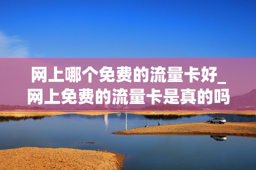 网上哪个免费的流量卡好_网上免费的流量卡是真的吗