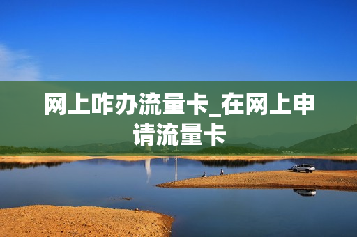 网上咋办流量卡_在网上申请流量卡