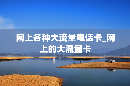 网上各种大流量电话卡_网上的大流量卡