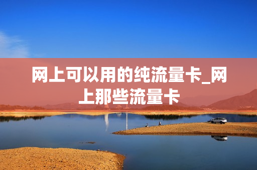 网上可以用的纯流量卡_网上那些流量卡
