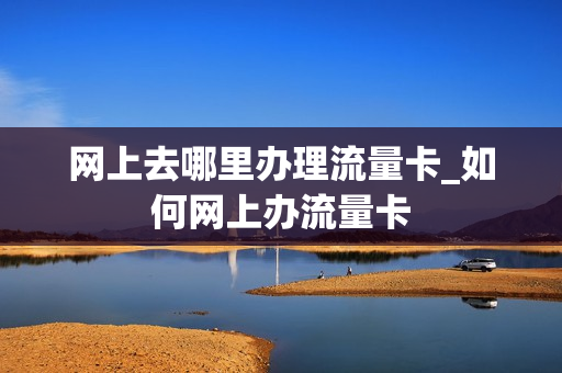 网上去哪里办理流量卡_如何网上办流量卡