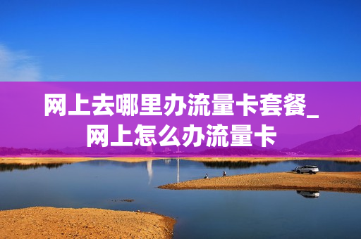网上去哪里办流量卡套餐_网上怎么办流量卡